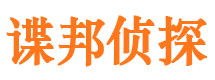 薛城市调查公司